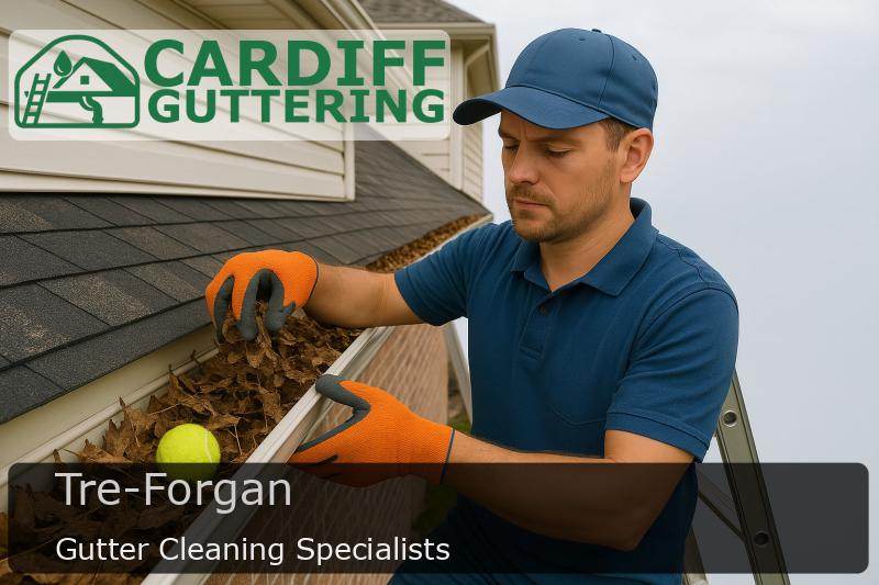 Gutter Cleaning Specialists Tre-Forgan